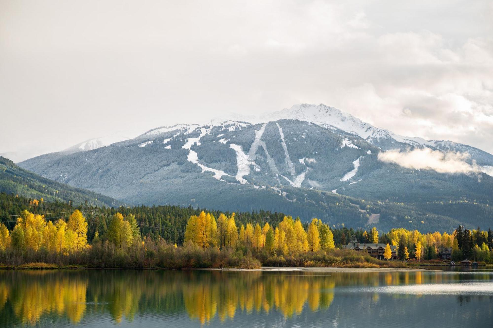 1br Powderview - Creekside Bright And Cozy Private Bike/ski Storage Free Parking Ferienhaus Whistler